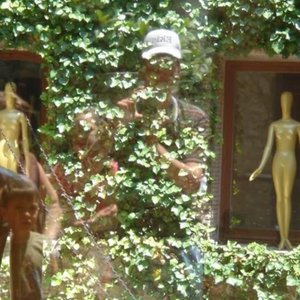 stanescu alexandru