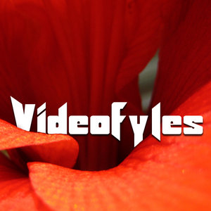 Videofyles
