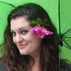 LauraFries.com