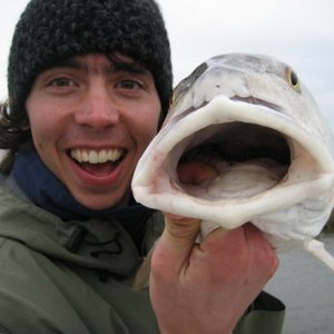 Paul Schonfeld