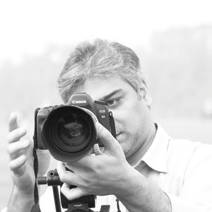 Mujtaba H. Shah