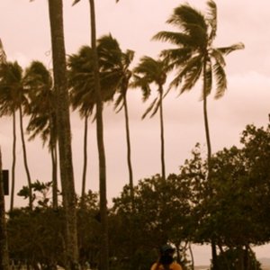 Rodrigo Farias