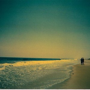 josh wehle