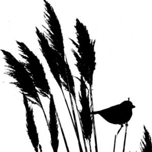 Sparrow Media