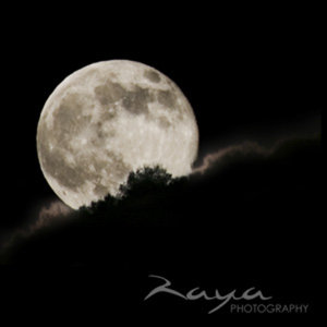 Raya Photography