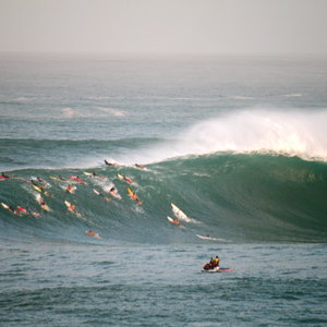 chris papaleo