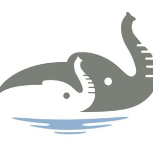 The Mentoring Project