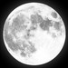 MoonChildMeko