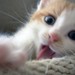 shirly_25