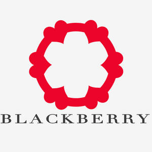 BlackberryCinema
