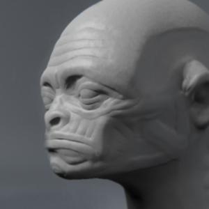 john doe
