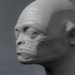 john doe