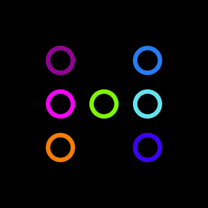 Holoscopica