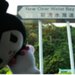模特兒