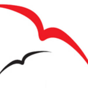 redbird media