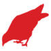 digital birdy video
