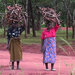 Delivering Malawi