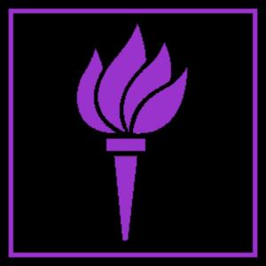 NYU Local