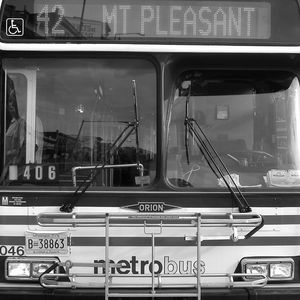 The 42 Bus