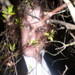 brian degraw