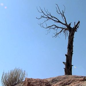 Climate Chains